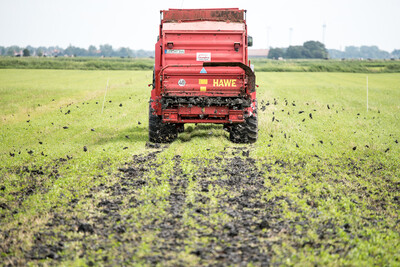 Das für die Pilotstudie ausgehobene Baggergut aus der Ems wurde nach kurzem Transport auf einer Grünland-Versuchsfläche im Rheiderland ausgebracht. - © Wolfgang Ehrecke Das für die Pilotstudie ausgehobene Baggergut aus der Ems wurde nach kurzem Transport auf einer Grünland-Versuchsfläche im Rheiderland ausgebracht.