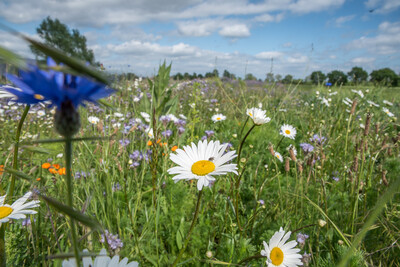 Unterzeichnung der Vereinbarung Der Niedersächsische Weg – Maßnahmenpaket für Natur-, Arten- und Gewässerschutz am 25.05.2020 in Wunstorf.