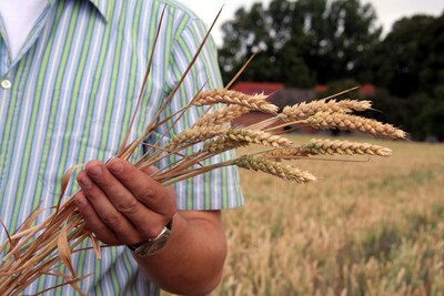 Ausbildung Landwirt/in - © Richard Didam /media/media/ACA88907-D8D3-855D-04F226675AEC9068.JPG