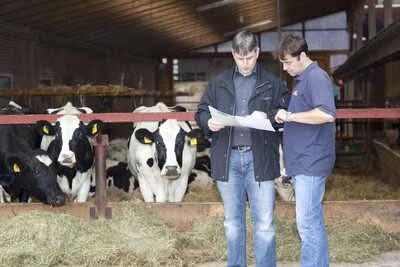 Beratung im Rinderstall