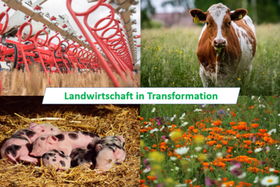 Landwirtschaft in Transformation