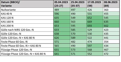 Tabelle einzelner Blattchlorophyllgehalte von Winterroggen