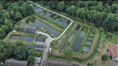 Luftaufnahme der Teichanlage Grevenhof bei Bispingen/Nordheide