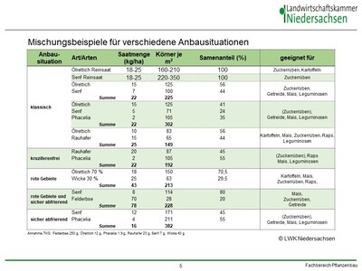 Mischungsbeispiele Zwischenfrüchte