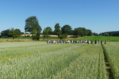 Feldtag im Ökolandbau - © Isabel Bröker /media/media/A550AB12-A50B-718F-3E117B4F7938DC65.JPG