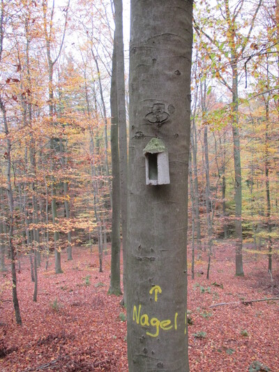 Nistkasten am Baum