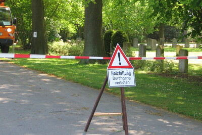Absperrschild - Holzfällung - © Jana Karalexidis Verkehrssicherung