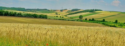 Agrarlandschaft