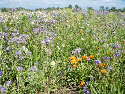 Unterzeichnung der Vereinbarung Der Niedersächsische Weg – Maßnahmenpaket für Natur-, Arten- und Gewässerschutz am 25.05.2020 in Wunstorf.