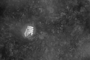 Der Einsatz von Wärmebilddrohnen – im Bild ist ein auf einer Grünlandfläche liegendes Rehkitz (hell hervorgehoben) zu erkennen – gilt als das erfolgversprechendste und effizienteste Verfahren, um Wildtiere vor der Mahd aufzuspüren. - © Dr. Harm Drücker Der Einsatz von Wärmebilddrohnen – im Bild ist ein auf einer Grünlandfläche liegendes Rehkitz (hell hervorgehoben) zu erkennen – gilt als das erfolgversprechendste und effizienteste Verfahren, um Wildtiere vor der Mahd aufzuspüren.