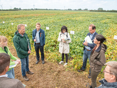 LeguNet-Soja-Feldtag der Landwirtschaftskammer Niedersachsen in Blender (Kreis Verden).