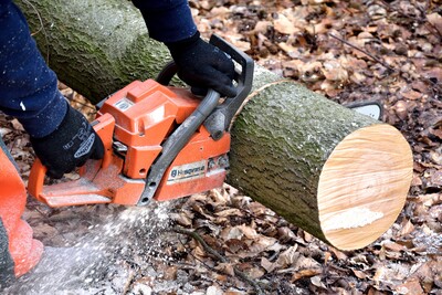 Holz schneiden