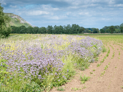 Unterzeichnung der Vereinbarung Der Niedersächsische Weg – Maßnahmenpaket für Natur-, Arten- und Gewässerschutz am 25.05.2020 in Wunstorf.