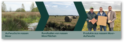 Neue Wege der Bewirtschaftung und Nutzung von Moorflächen - © Niedersächsisches Landvolk Kreisverband Osterholz e.V. Neue Wege der Bewirtschaftung und Nutzung von Moorflächen