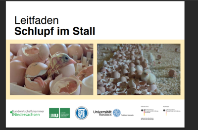 Leitfaden Schlupf im Stall - © Dr. Peter Hiller Leitfaden Schlupf im Stall