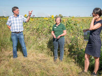 Landwirt Matthias Johns, LWK-Biodiversitätsberaterin Martina Diehl und Agrarministerin Miriam Staudte (v.l.) auf einer Fläche speziell für den Rebhuhnschutz bei Wolfenbüttel-Leinde.