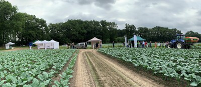 Ausstellungsfläche Feldtag RESIDUE