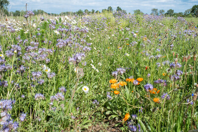 Unterzeichnung der Vereinbarung Der Niedersächsische Weg – Maßnahmenpaket für Natur-, Arten- und Gewässerschutz am 25.05.2020 in Wunstorf.