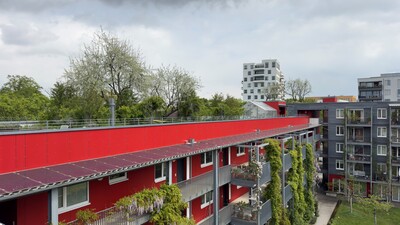Begrüntes Dach und Fassade – Mehrwert für Mensch, Tier und Stadt - © Nicole Pfoser / Hochschule für Wirtschaft und Umwelt Nürtingen-Geislingen Üppige Dach- und Fassadenbegrünung