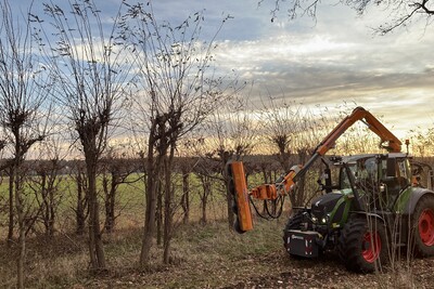Landschaftshecken können von Anfang Oktober bis Ende Februar gepflegt werden. - © Kerstin Fricke Landschaftshecken können von Anfang Oktober bis Ende Februar gepflegt werden.